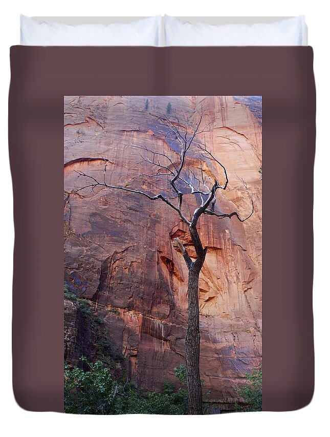 Zion National Duvet Cover featuring the photograph Dead Tree in Zion by Stuart Litoff