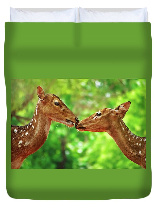 Animal Themes Duvet Cover featuring the photograph Dear Deer by Mohd Elias