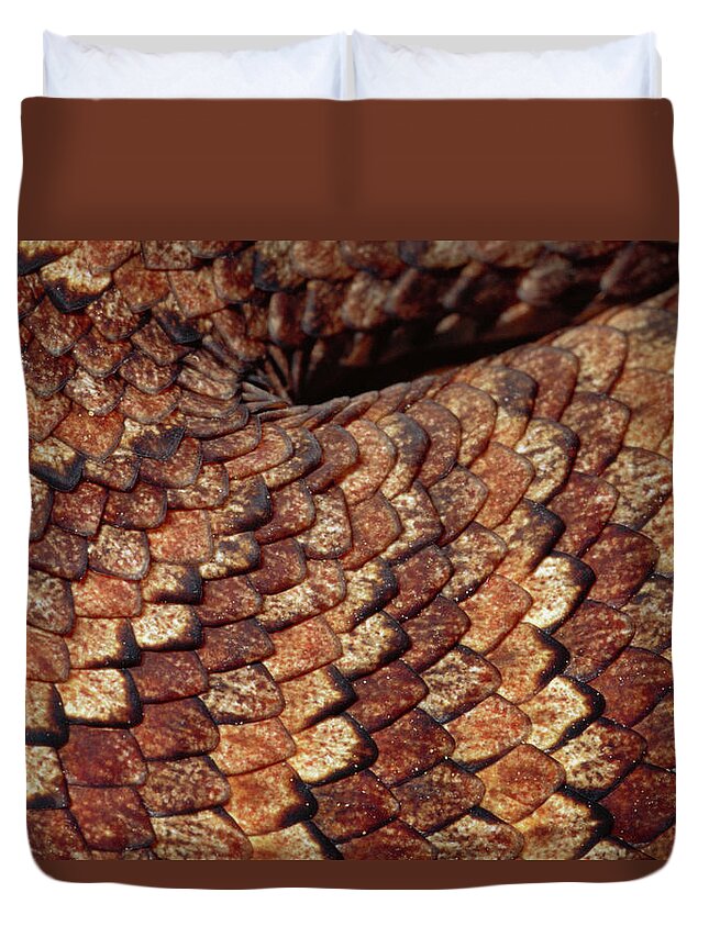 00511539 Duvet Cover featuring the photograph Death Adder Scales by Michael and Patricia Fogden