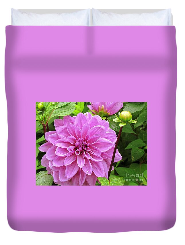 Flowers Duvet Cover featuring the photograph Decadent Dahlia  by Elizabeth Dow