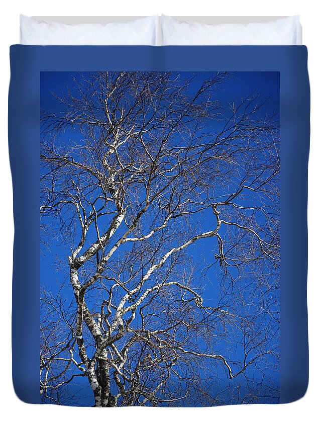 Spring Duvet Cover featuring the photograph Deep Blue Sky and Birch Tree 1 by Jenny Rainbow