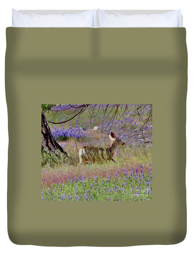 Sequoia National Park; Sequoia; Deer Duvet Cover featuring the photograph Deer in the Meadow by Debby Pueschel