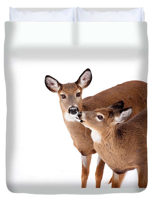 Deer Duvet Cover featuring the photograph Deer Kisses by Karol Livote