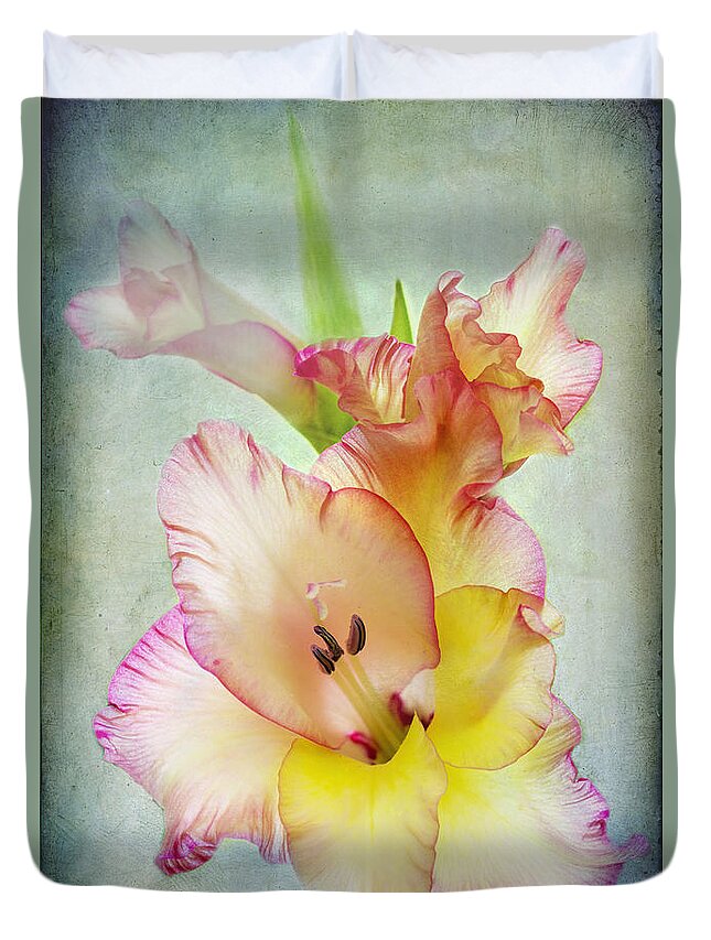 Gladiolus Duvet Cover featuring the photograph Delicate Beauty by Marina Kojukhova