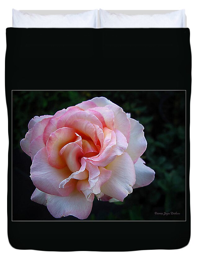 Rose Duvet Cover featuring the photograph Delicate Pink by Joyce Dickens