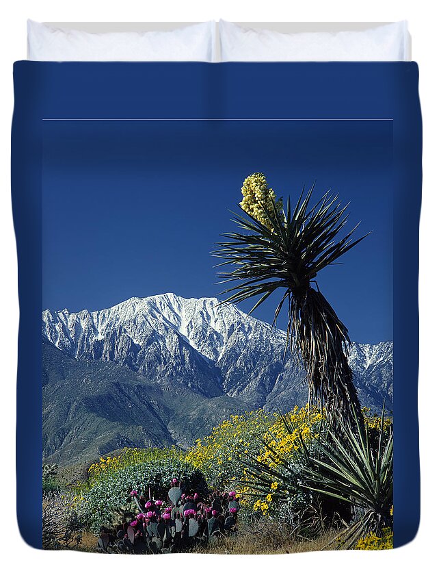 Desert Duvet Cover featuring the photograph Desert Blooms by Ed Cooper Photography