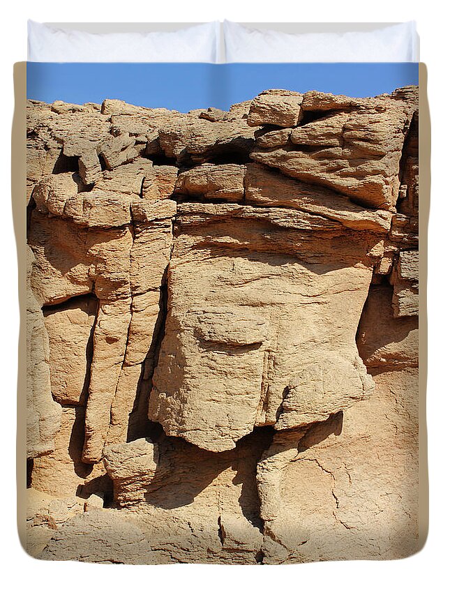 Akinwande Duvet Cover featuring the photograph Desert Face by Neil Pollick