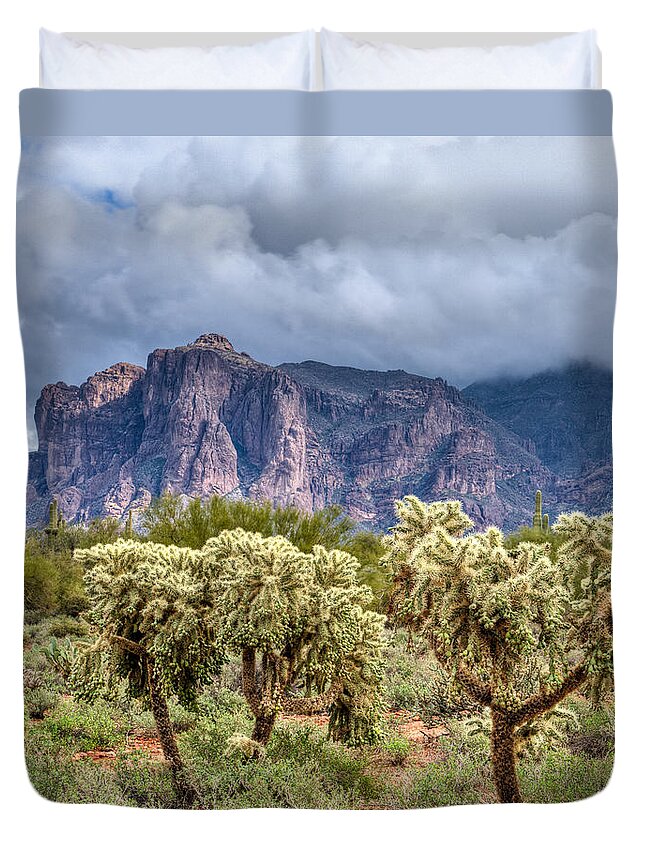 Scenics Duvet Cover featuring the photograph Desert Landscape by Merilee Phillips