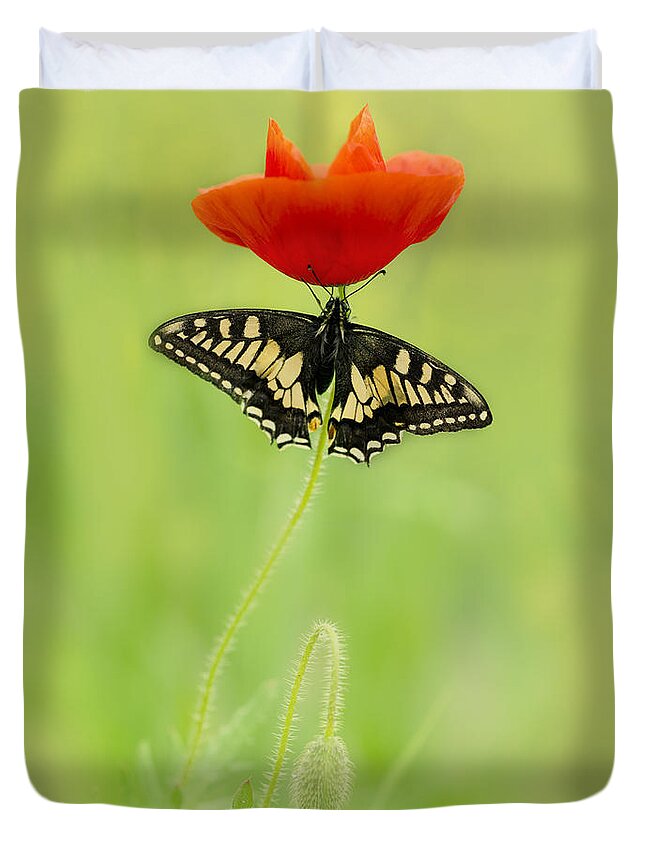 Macro Duvet Cover featuring the photograph Devil and angel by Jaroslaw Blaminsky