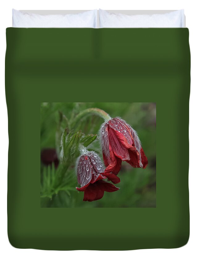 Flower Duvet Cover featuring the photograph Dew covered Pasque flower by Jane Luxton