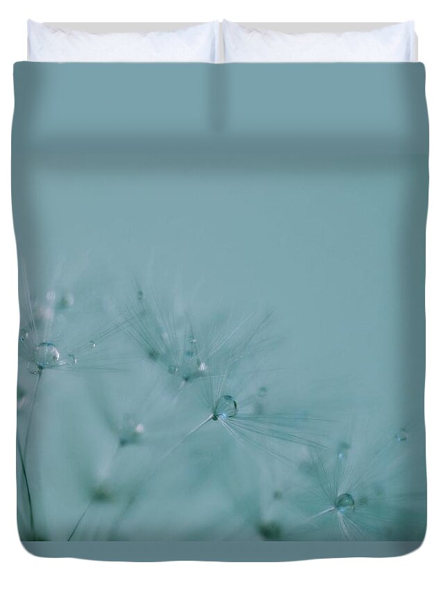 Dandelion Duvet Cover featuring the photograph Dew Drops on Dandelion Seeds by Marianna Mills