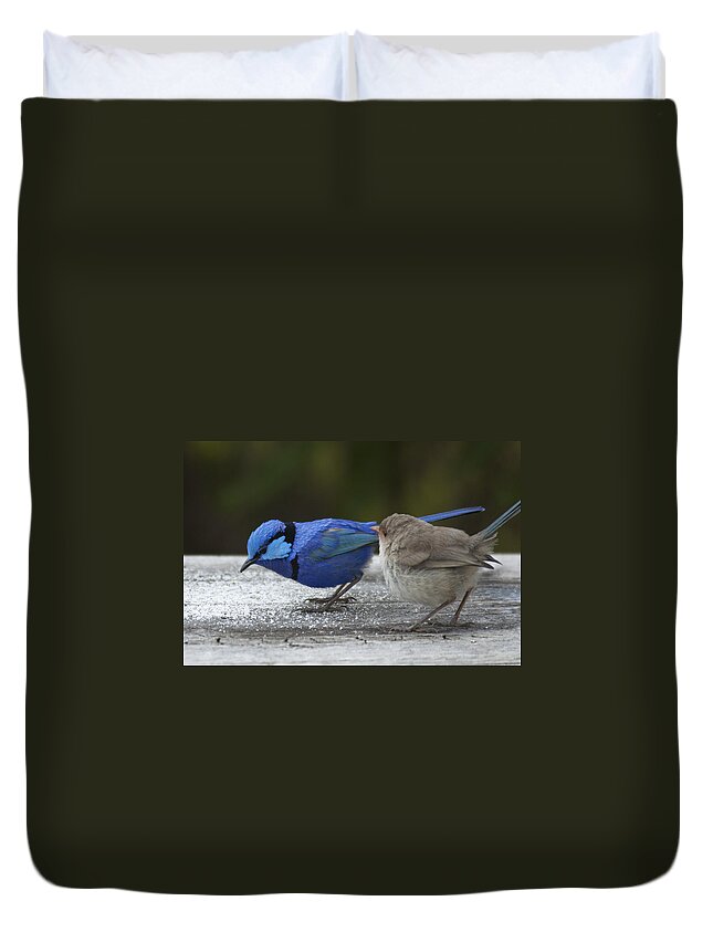 Wrens Duvet Cover featuring the photograph Dining at Adrians by Robert Caddy
