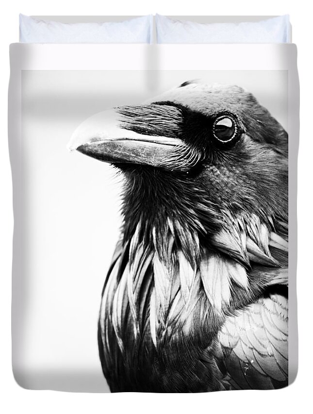 Bird Duvet Cover featuring the photograph Direction Of The Blackbird by J C