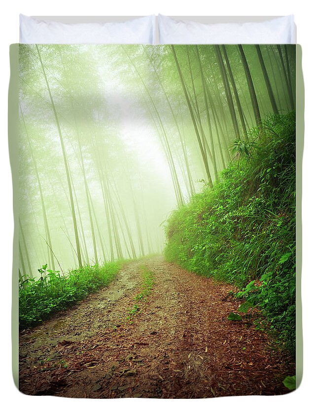 Extreme Terrain Duvet Cover featuring the photograph Dirt Road Leading Through Foggy Forest by Fzant