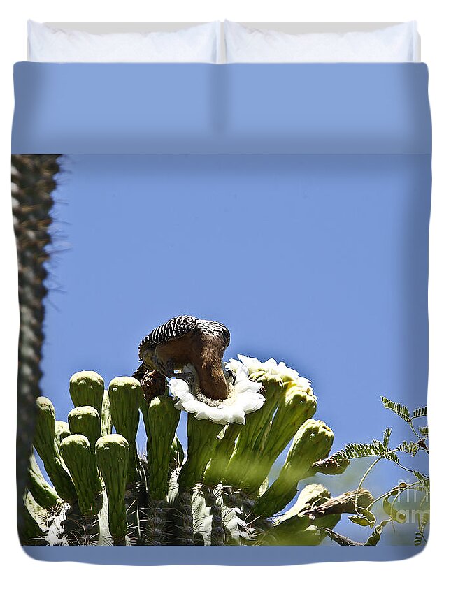 Arizona Duvet Cover featuring the photograph Dive In by Kathy McClure