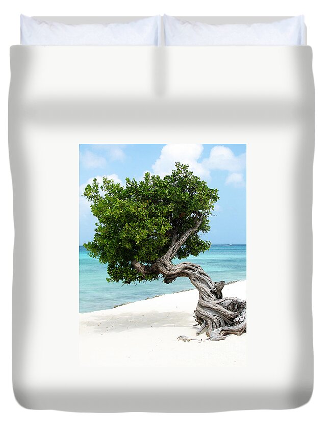 Aruba Duvet Cover featuring the photograph Divi Divi Tree in Aruba by DejaVu Designs