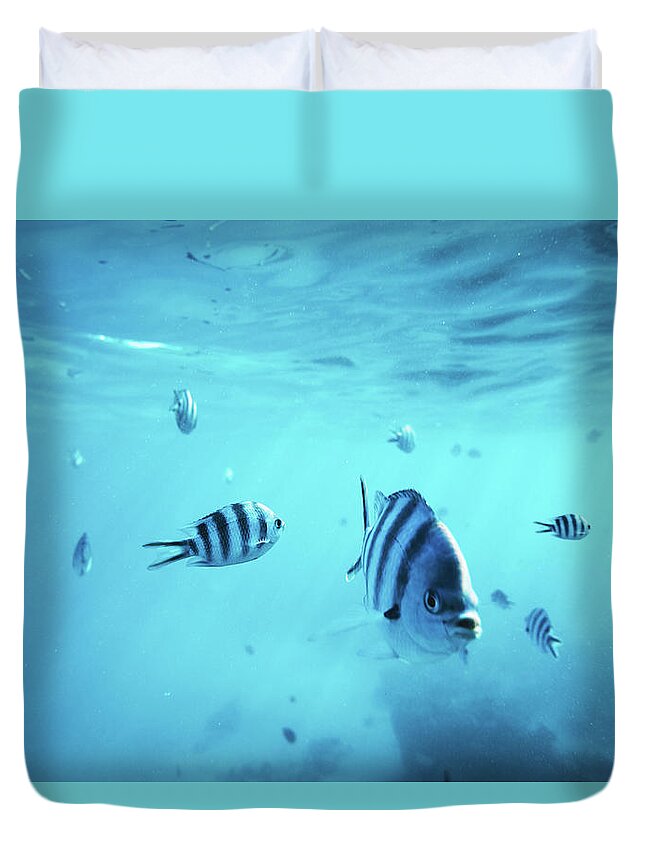 Underwater Duvet Cover featuring the photograph Diving With Fishes by Borchee