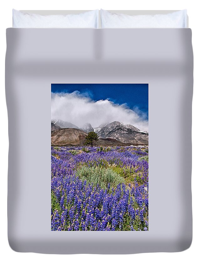 Clouds Duvet Cover featuring the photograph Division Creek Lupine by Cat Connor