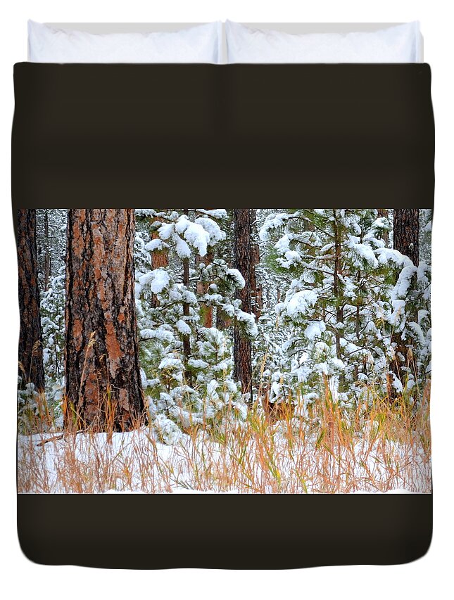 Pine Trees Duvet Cover featuring the photograph Do You See Me by Clarice Lakota
