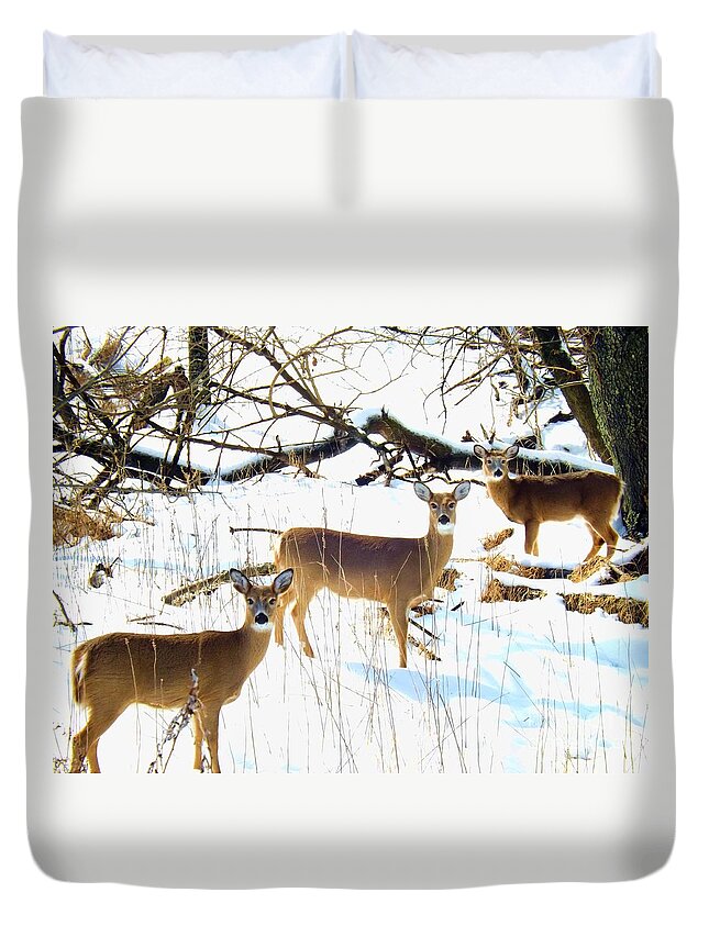 Does Duvet Cover featuring the photograph Does In The Snow by Robyn King