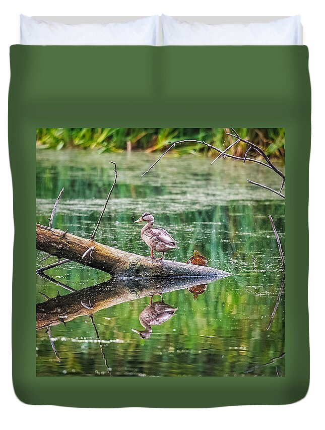 Reflection Duvet Cover featuring the photograph Does This Make My Tail Look Big by Paul Freidlund