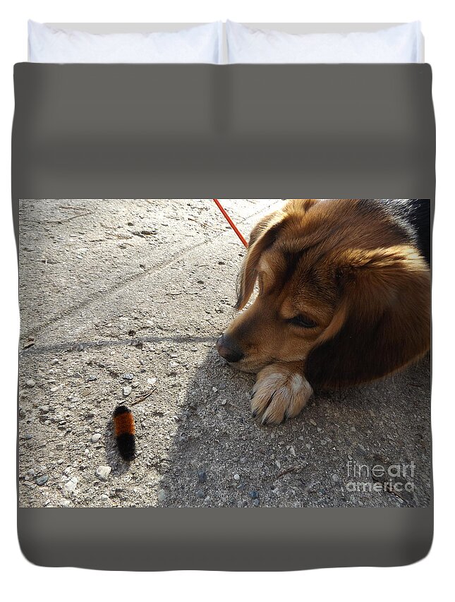 Beagle Duvet Cover featuring the photograph Dog and Friend by Erick Schmidt