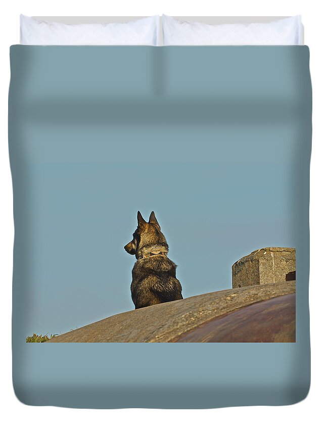 Point Bonita Duvet Cover featuring the photograph Dog at Point Bonita by SC Heffner