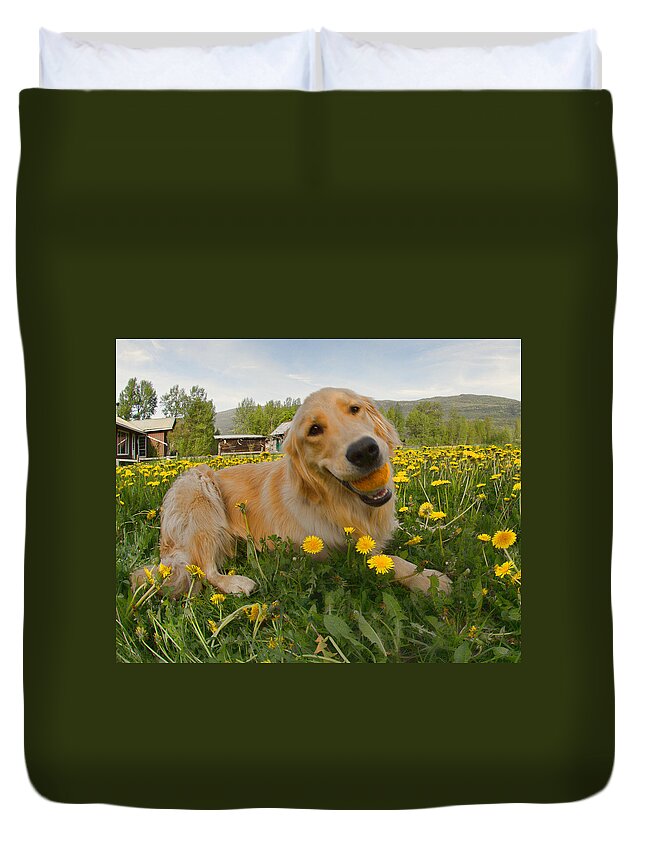 Puppy Duvet Cover featuring the photograph Dog Ball and Dandelions by Allan Van Gasbeck