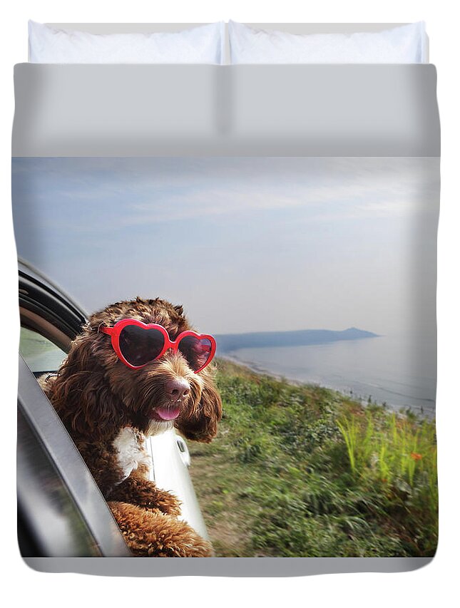 Pets Duvet Cover featuring the photograph Dog Leaning Out Of Car Window On Coast by Peter Cade