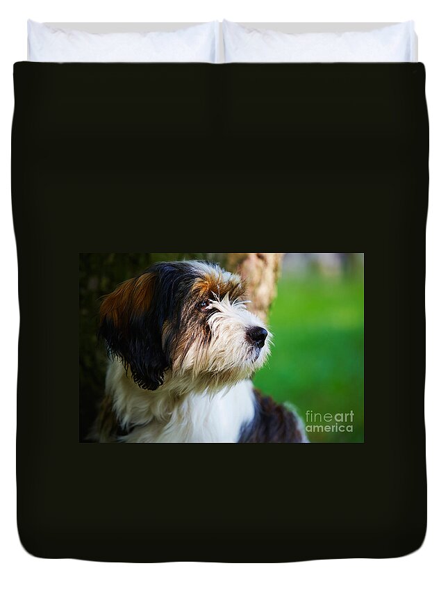 Staring Duvet Cover featuring the photograph Dog sitting next to a tree by Nick Biemans