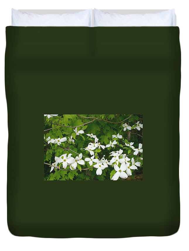 Dogwood Duvet Cover featuring the photograph Dogwood Blossoms by Randy Pollard