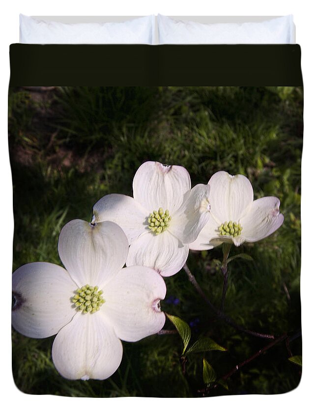 Dogwood Duvet Cover featuring the photograph Dogwood by Phyllis Taylor