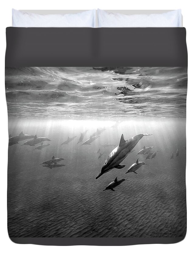 Group Duvet Cover featuring the photograph Dolphins at dawn by Artesub