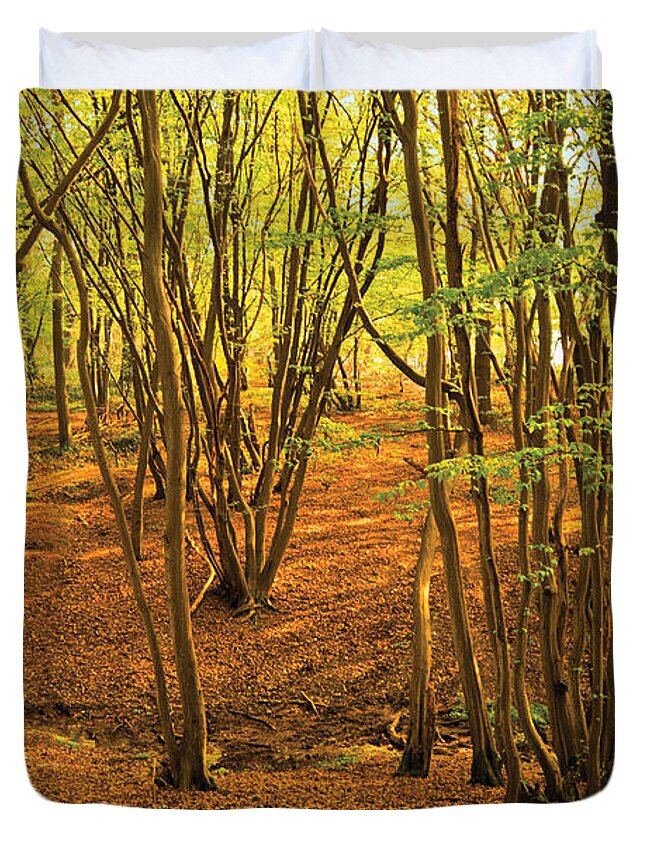 Autumn Landscape Duvet Cover featuring the photograph Donyland Woods by David Davies