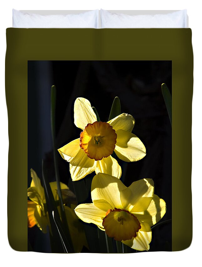 Daffodils Duvet Cover featuring the photograph Dos Daffs by Joe Schofield