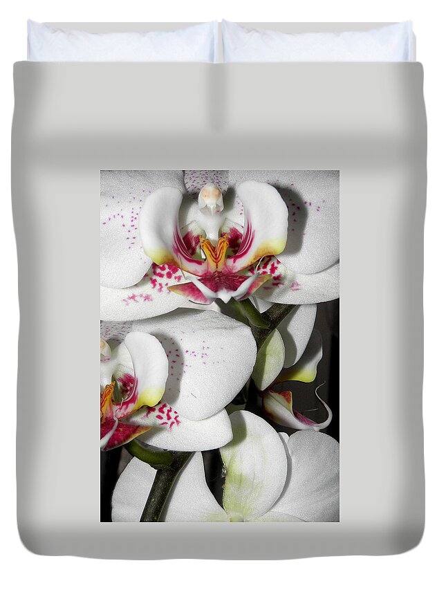 White Orchids Duvet Cover featuring the photograph Dots and Splashes of Pink on Orchid by Kim Galluzzo Wozniak