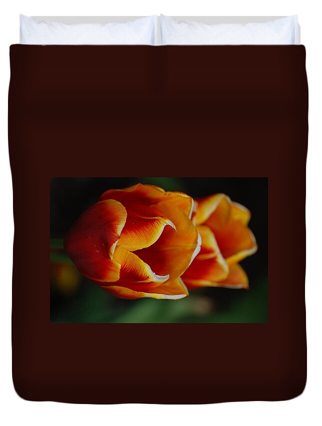 Tulip Duvet Cover featuring the photograph Double Vision by Kathy Paynter