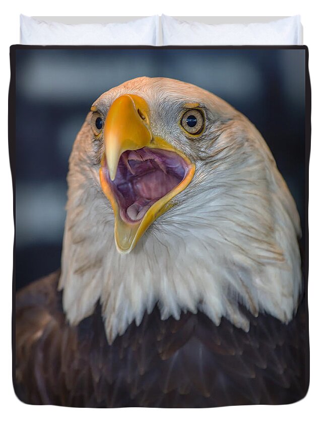Eagle Duvet Cover featuring the photograph Down The Hatch by Bill and Linda Tiepelman