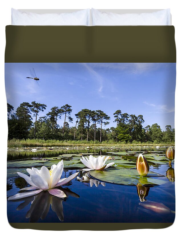 Nis Duvet Cover featuring the photograph Downy Emerald Dragonfly Flying Over Lake by Alex Huizinga