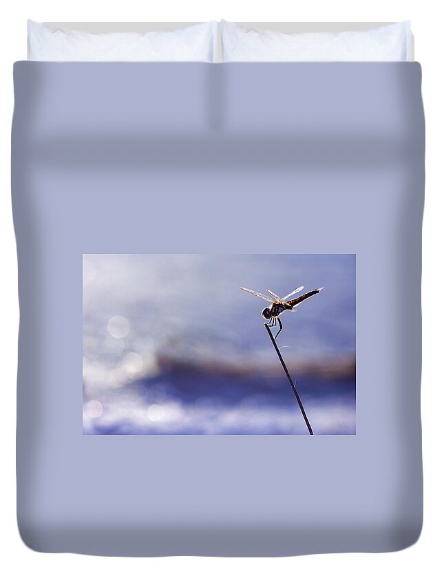 Dragonfly Duvet Cover featuring the photograph Dragonfly Blue by Laura Fasulo