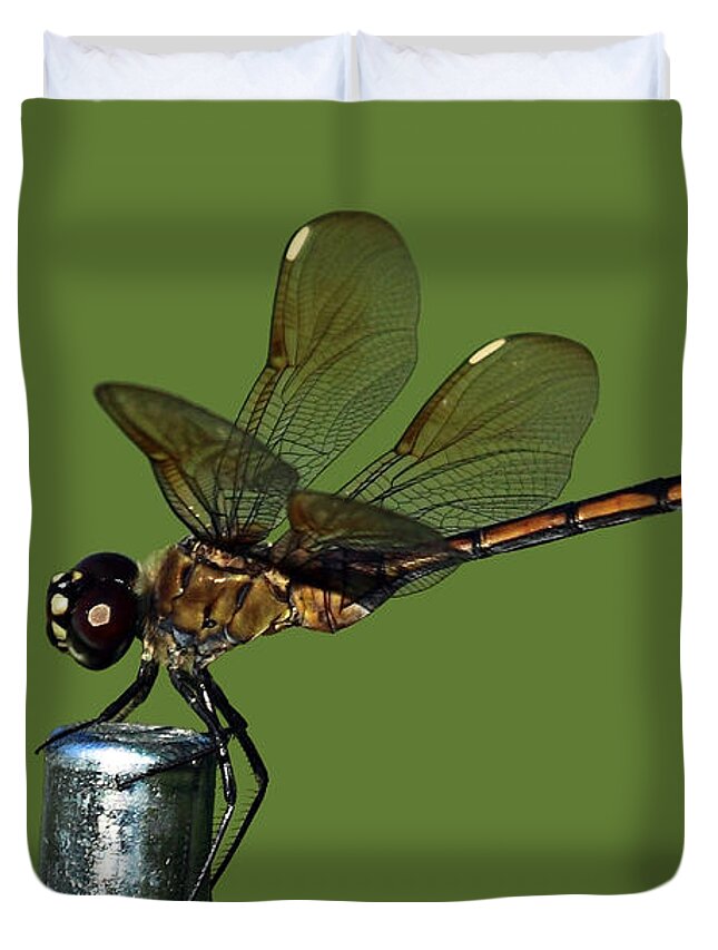 Dragonfly Duvet Cover featuring the photograph Dragonfly by Meg Rousher
