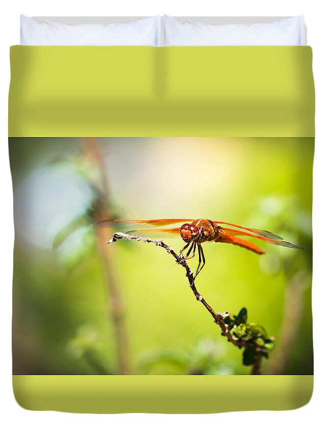Dragonfly Duvet Cover featuring the photograph Dragonfly Smile by Priya Ghose