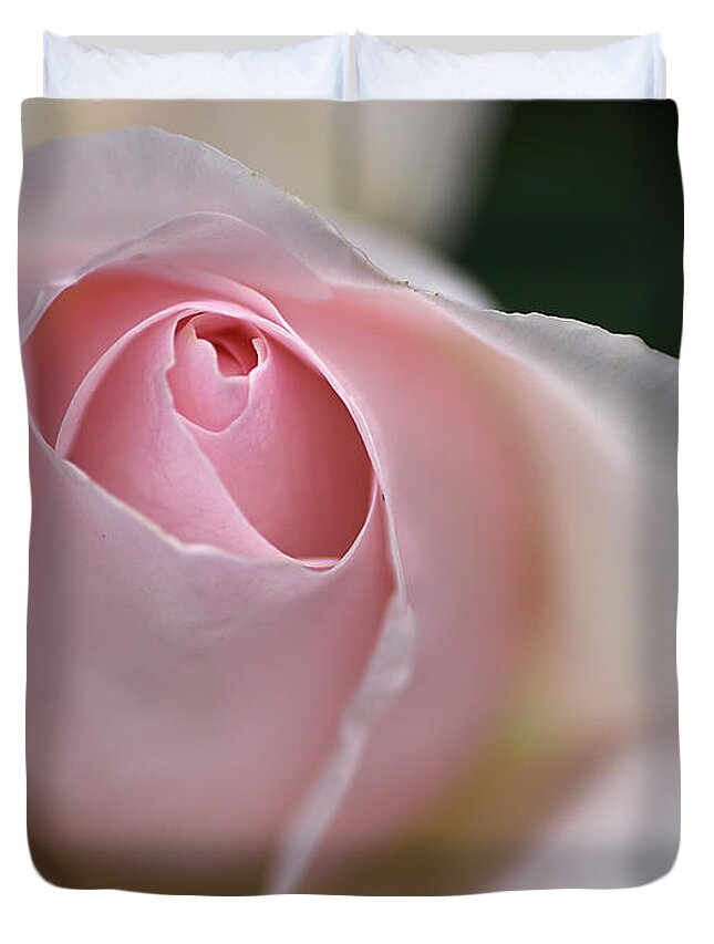 Floribunda Rose Duvet Cover featuring the photograph Dreamy Rose by Joy Watson