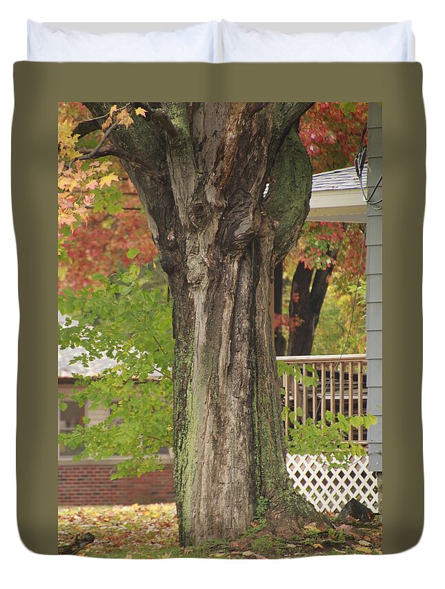 Fall Duvet Cover featuring the photograph Old Maple Tree Dressed for Fall by Valerie Collins