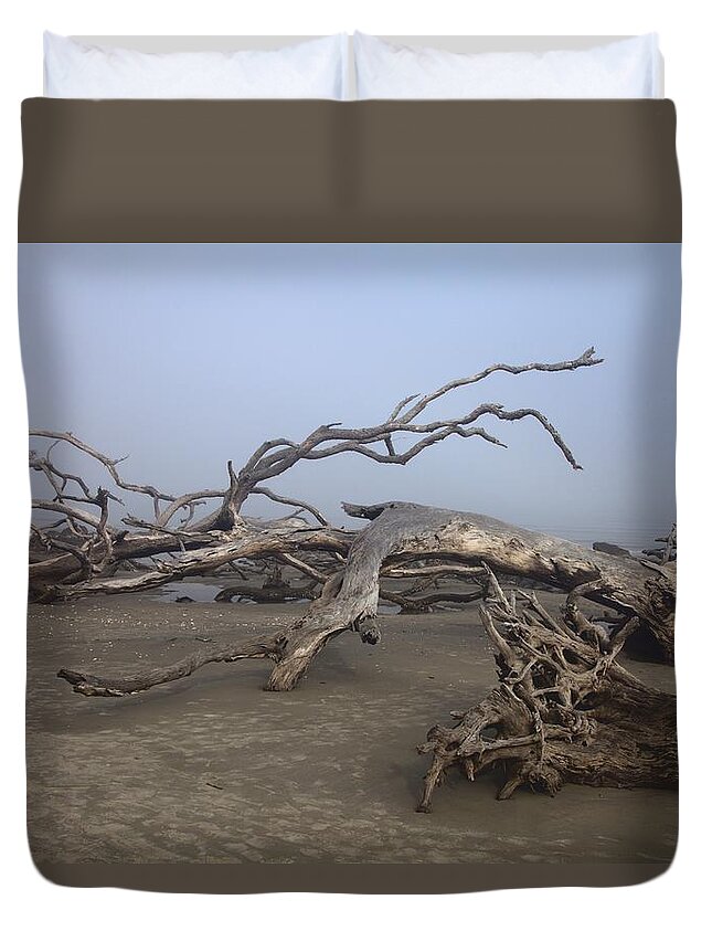 11384 Duvet Cover featuring the photograph Driftwood Trees on Jekyll Island by Gordon Elwell