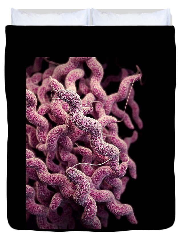 Drug Resistant Duvet Cover featuring the photograph Drug-resistant Campylobacter by Science Source