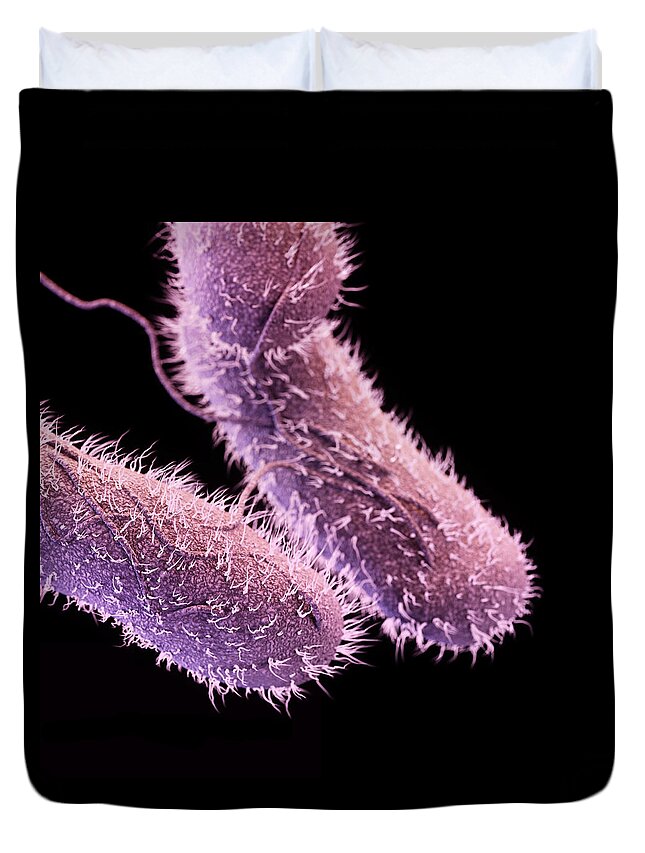 Drug-resistant Non-typhoidal Salmonella Duvet Cover featuring the photograph Drug-resistant Non-typhoidal Salmonella by Science Source
