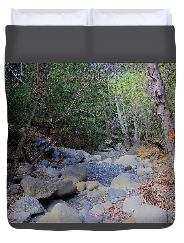 Tree Duvet Cover featuring the photograph Dry Matilija Creek by Heidi Smith