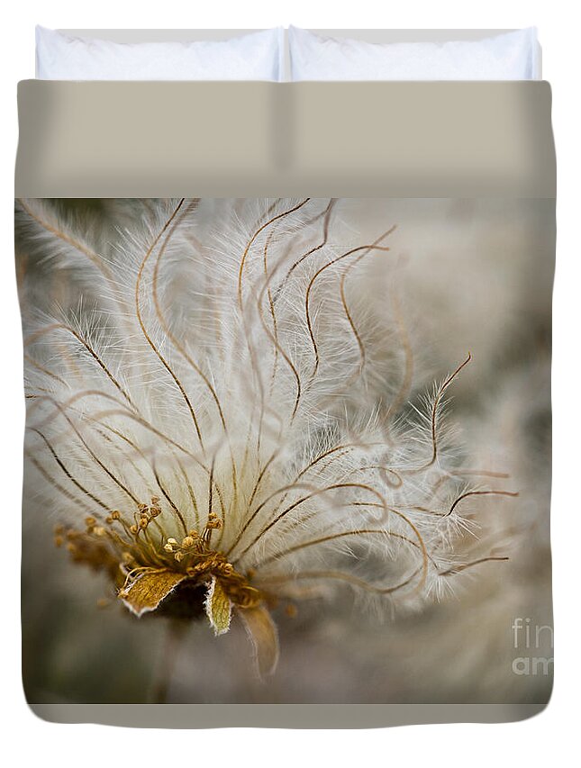 Dryas Octopetala Duvet Cover featuring the photograph Dryas Octopetala by Heiko Koehrer-Wagner