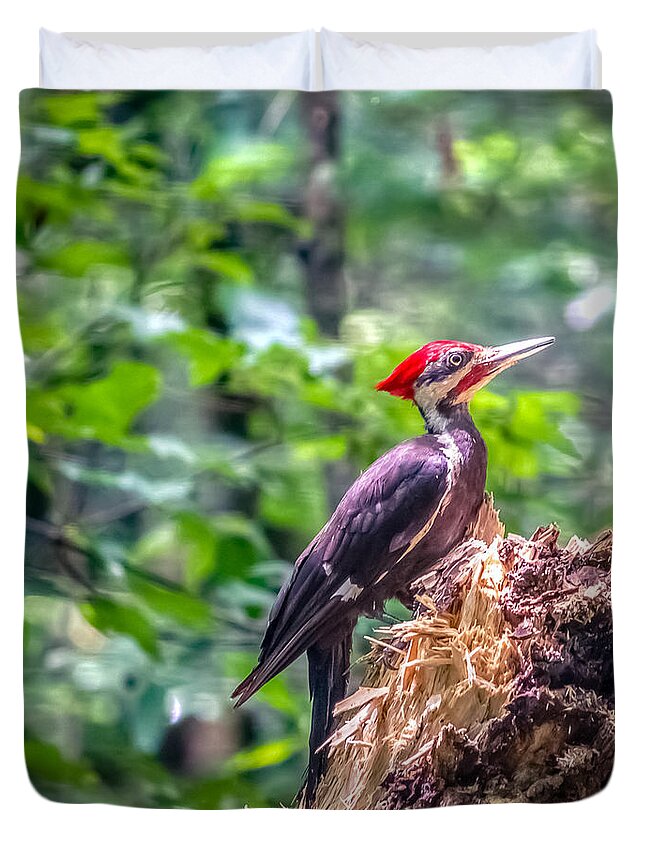 America Duvet Cover featuring the photograph Dryocopus pileatus by Traveler's Pics